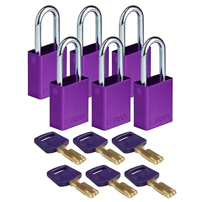 gws150347 - Замки SafeKey алюминиевые со стальной дужкой, высота дужки – 38 мм, диаметр дужки – 6.4 мм, алюминиевый корпус, размеры корпуса – 46х38х19 мм, цвет – фиолетовый, 6 шт/упак