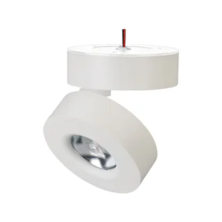 Светильник SP-MONA-SURFACE-R100-12W Warm3000 (WH, 24 deg) 025440(1) - Накладной откидной поворотный светильник 12Вт. Цвет ТЕПЛЫЙ 3000K, св.поток 800лм, CRI(Ra)>90, угол свечения 24°, угол поворота 355°, угол наклона 90°. Корпус круглый, белый алюминий, IP